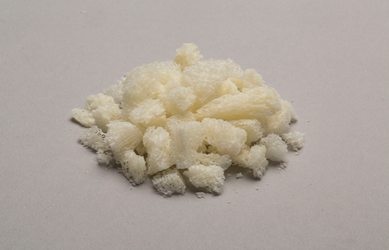 Cancellous Chips