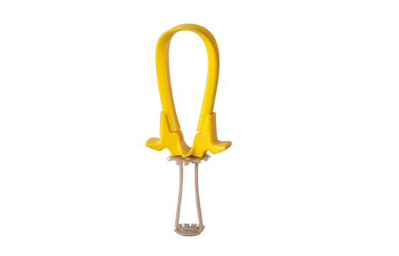 Cranial Loop Flap Fixation