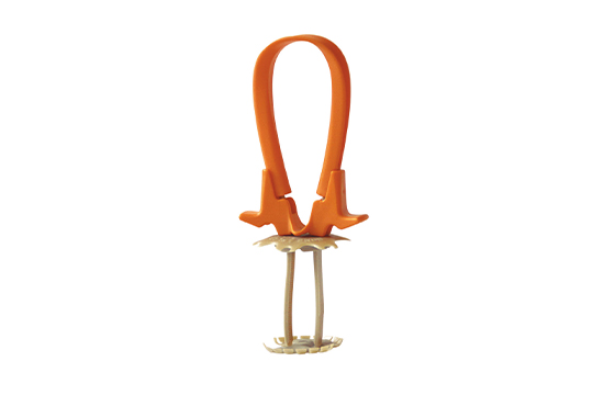 Cranial Loop Flap Fixation