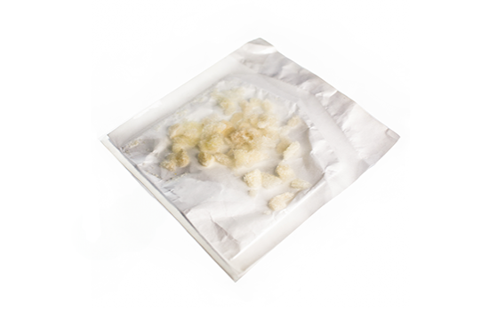 Bone chips