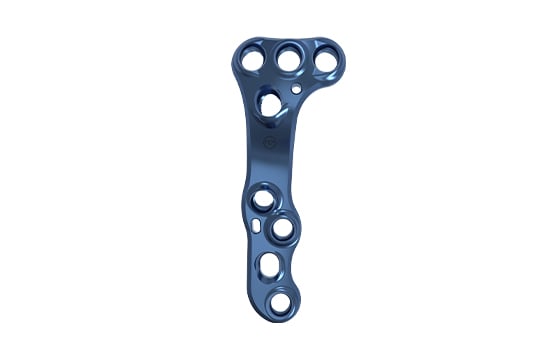 Lateral Closing plate Left Size 2 BTGBD2D