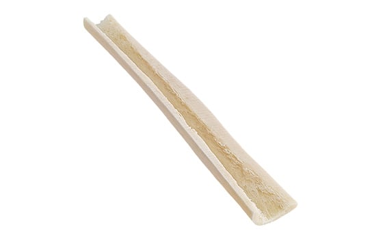 Tibia