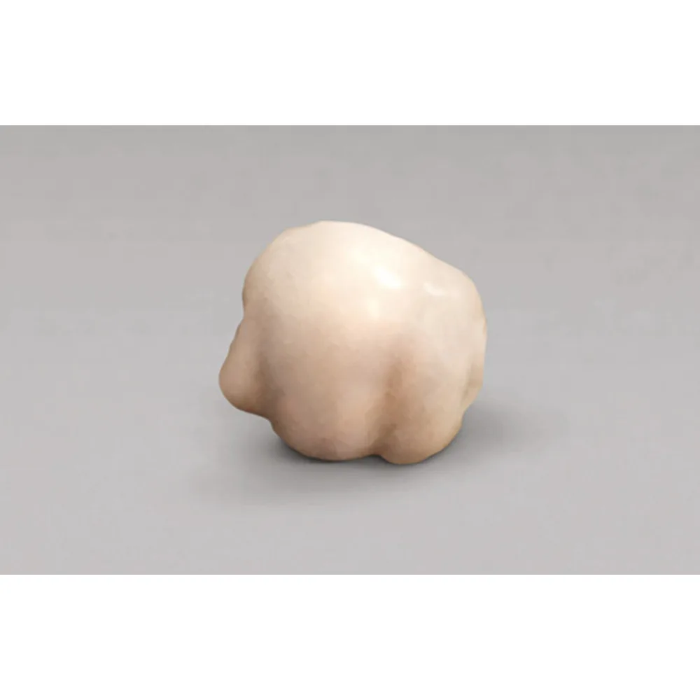 Metatarsal