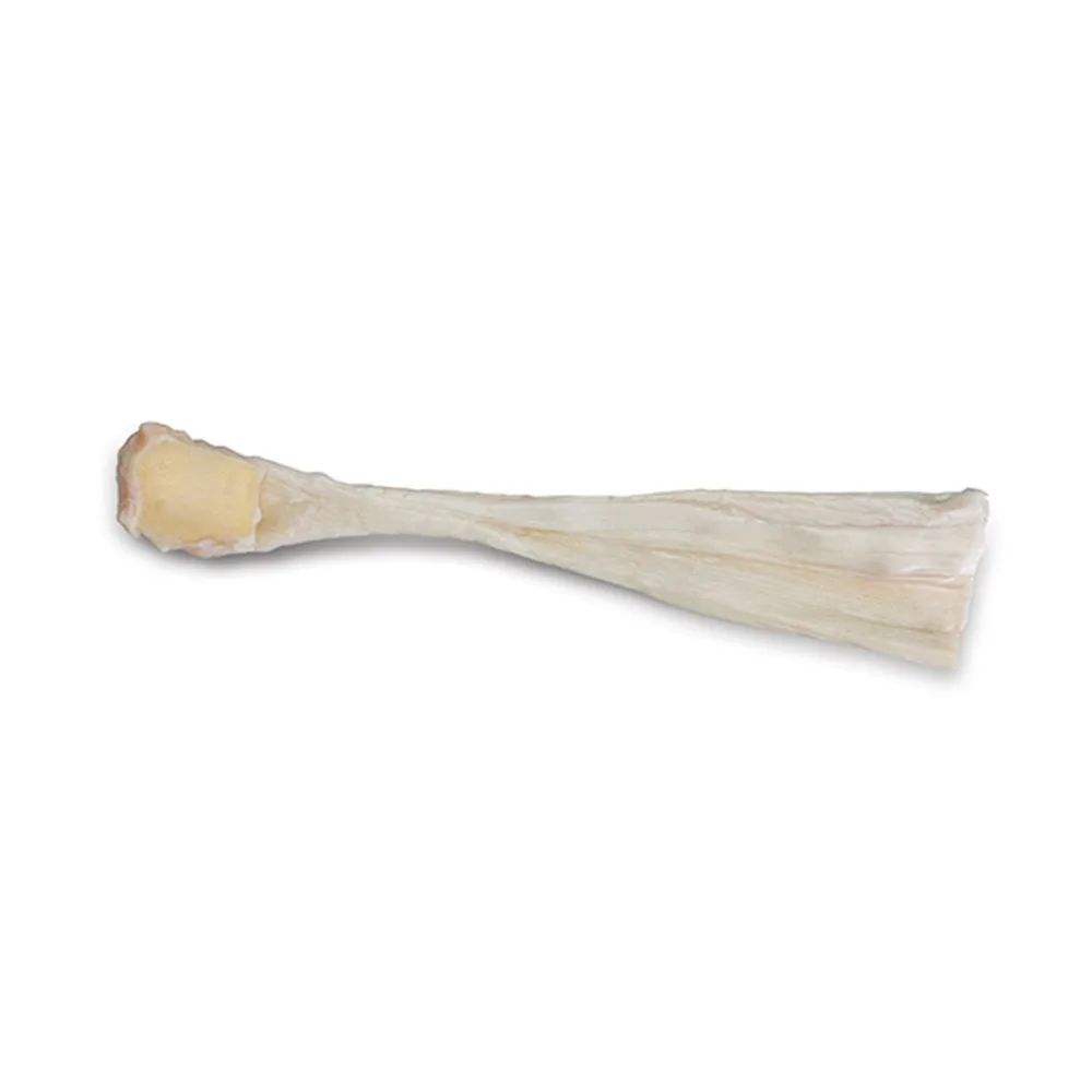 Tendon