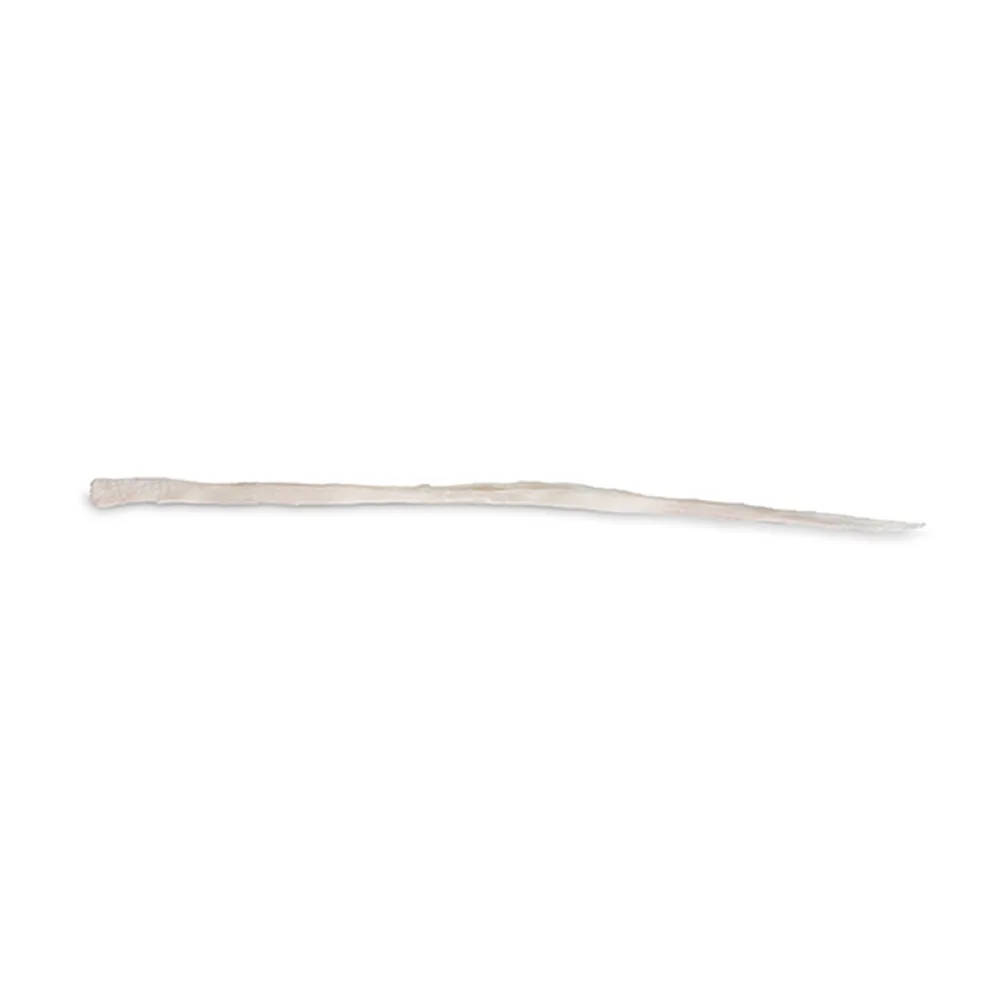 Tendon