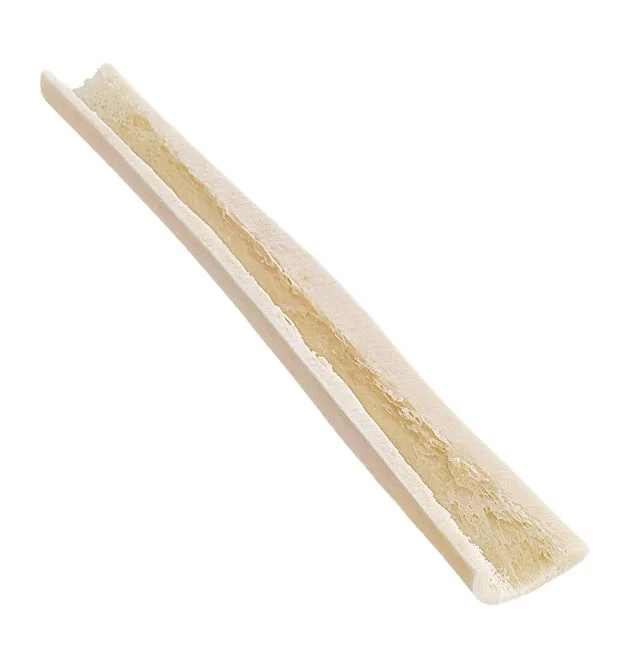 Tibia